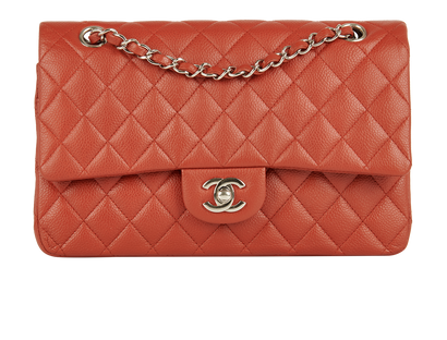 Chanel Double Flap Bag, front view